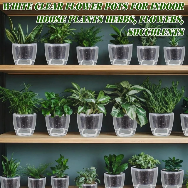 Alt view image 6 of 6 - 36 Pcs Transparent Self-Watering Plant Pots, 3.5''