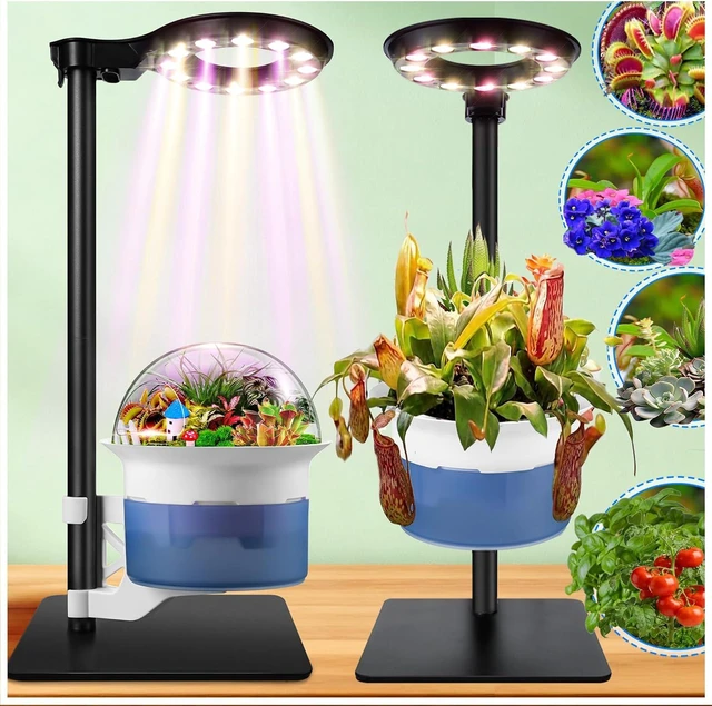 Main image of Large Venus Fly Trap Terrarium Pot with Plant Grow Light, Timer & Metal Stand