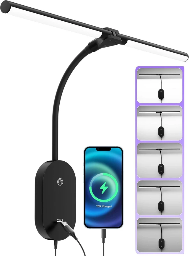 Main image of LED Wall-Mounted Reading Light with 2 Heads & USB Output Bright 5-Level Dimmable Touch Control, 4-Hour Auto Off, 360° Gooseneck Headboard Bed Lamp