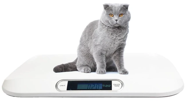 Main image of Portable Digital Dog & Cat Scale with Electronic Display, Weighs Pet Food up to 44 Pounds for Puppy, Kitten, Small Animal, Rabbit & Tortoise