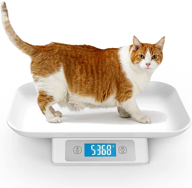 Main image of Digital Puppy & Cat Scale, 33 lbs Capacity (±0.03oz), Removable 13.4 x 9.5 Inch Tray Whelping Pet Scale for Adult Cats & Small Animals (Grey)