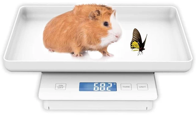 Main image of 11 lb / 0.1g High-Precision Pet Scale, 0.003oz Accuracy Whelping & Guinea Pig Weighing Scale for Newborn Pets, Kittens & Turtles