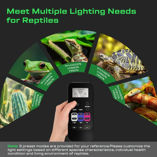 Alt view image 4 of 7 - 2 Pack UVB Reptile Lights with Timer & Remote UVA UVB Lamp