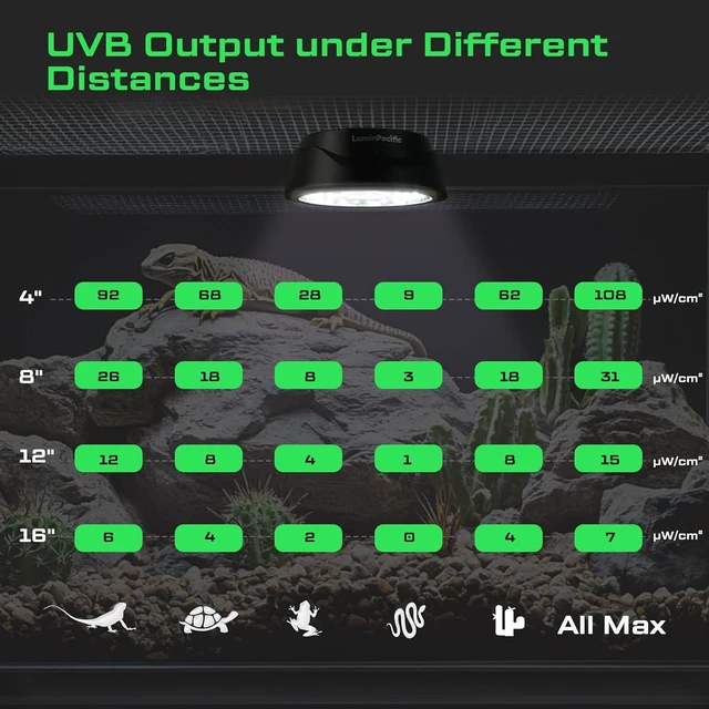 Alt view image 7 of 7 - 2 Pack UVB Reptile Lights with Timer & Remote UVA UVB Lamp
