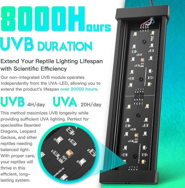 Alt view image 3 of 6 - Dimmable 8W LED Reptile UVB Lamp, 8000-Hour UVB Duration, Adjustable 4/8/12-Hour Cycles for Gecko, Chameleon & Bearded Dragon, M Size