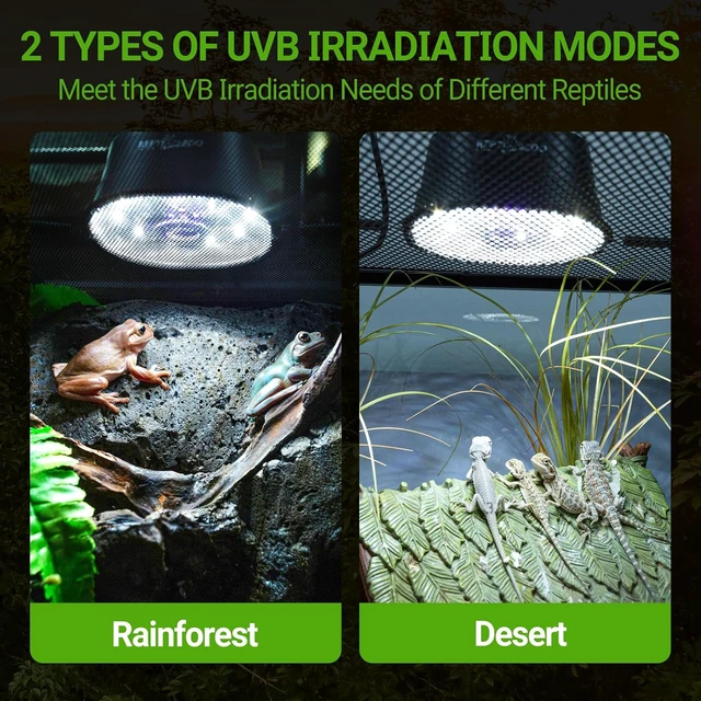 Alt view image 4 of 7 - Dimmable LED UVA UVB Reptile Light Fixture with Adjustable Brightness for Bearded Dragon, Gecko, Lizard, Turtle & Snake, Tropical & Desert Reptiles