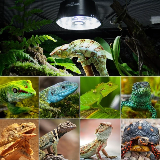 Alt view image 7 of 7 - Dimmable LED UVA UVB Reptile Light Fixture with Adjustable Brightness for Bearded Dragon, Gecko, Lizard, Turtle & Snake, Tropical & Desert Reptiles