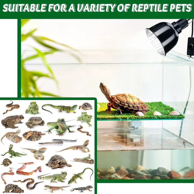 Alt view image 6 of 7 - 5.5-Inch Metal Dome Reptile Heat Lamp Fixture, 4 Pack