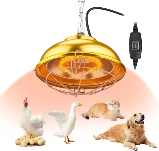 Main image of 300W Chicken Coop Heat Lamp with 2-Mode Temperature & Adjustable Hanging Height, Waterproof for Indoor & Outdoor for Amphibians, Chicks, Ducks & Pets (round 300W)