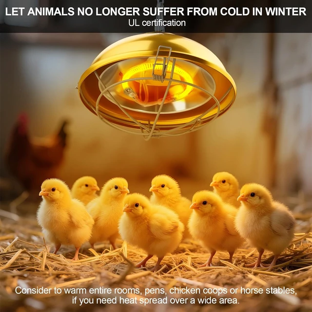 Alt view image 4 of 6 - 300W Chicken Coop Heat Lamp with 2-Mode Temperature & Adjustable Hanging Height, Waterproof for Indoor & Outdoor for Amphibians, Chicks, Ducks & Pets (round 300W)