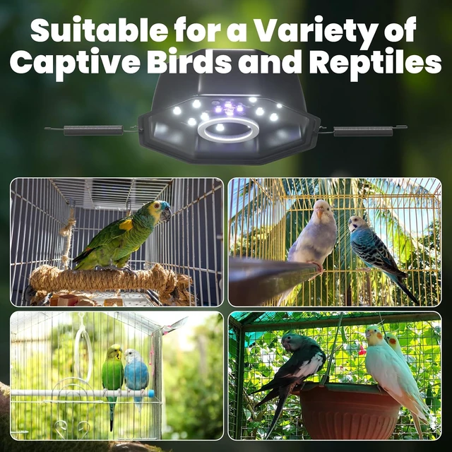 Alt view image 6 of 7 - 10W Full-Spectrum Bird Cage Light with Chew Guard, UVB2.4 Dimmable Octagonal LED Fixture with Plug & Controller for Captive Birds & Parrots