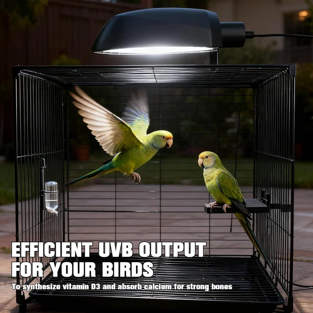 Alt view image 7 of 7 - Bird Cage Light Fixture Combo Kit with Adjustable Timer Lamp Hood with 2.4% UVB UVA 20W Compact Fluorescent Bulb for Captive Birds & Reptiles
