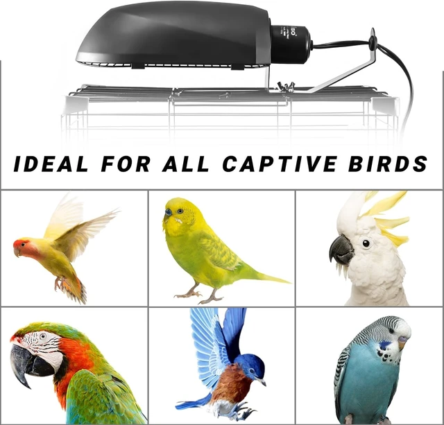 Alt view image 7 of 7 - AvianSun Bird Cage Light Fixture Combo Kit Lamp Hood with 2.4% UVB UVA 20W Compact Fluorescent Bulb for Captive Birds