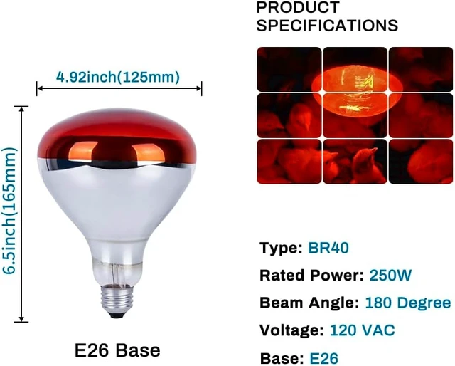 Alt view image 2 of 7 - 6-Pack 250W R40 Brooder Heat Lamp Bulbs Infrared Reflector Heating for Chicks, Chickens, Pets, Bathroom & Food
