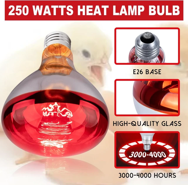 Alt view image 3 of 7 - 6-Pack 250W R40 Brooder Heat Lamp Bulbs Infrared Reflector Heating for Chicks, Chickens, Pets, Bathroom & Food