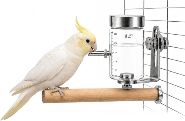 Main image of Leak-Proof No-Drip Glass Water Dispenser Bottle for Parrots