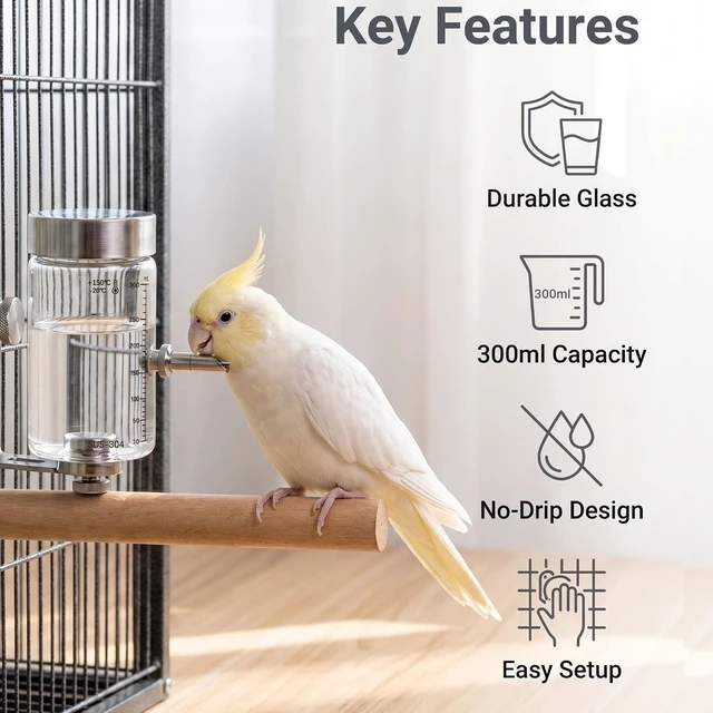 Alt view image 3 of 5 - Leak-Proof No-Drip Glass Water Dispenser Bottle for Parrots