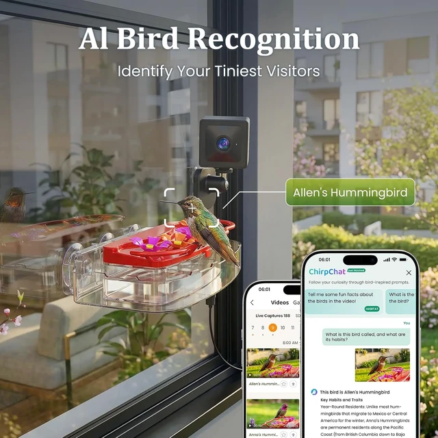 Alt view image 4 of 7 - 2K Smart Window Hummingbird Feeder Camera with AI Identification & Auto-Capture IP65 Waterproof, Ant Moat, Strong Suction for Apartment & Cat TV, Gift for Bird Lovers