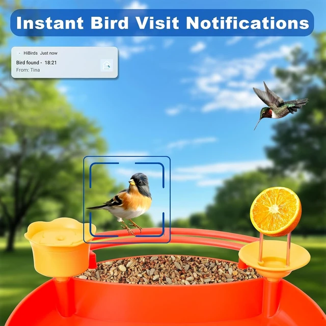 Alt view image 2 of 7 - 4K HD Smart Solar Bird Feeder Camera with Live View & AI Auto-Capture 3-in-1 Feeding, Bathing & Hummingbird Outdoor Garden Bird House (Red)
