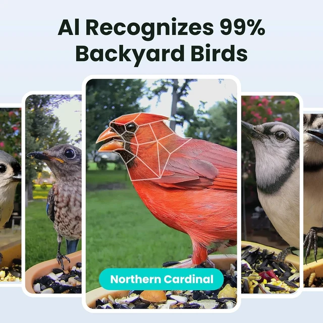 Alt view image 2 of 7 - Smart Bird Feeder Camera with Lifetime AI Beginner-Friendly Rookie Design