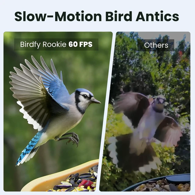 Alt view image 3 of 7 - Smart Bird Feeder Camera with Lifetime AI Beginner-Friendly Rookie Design
