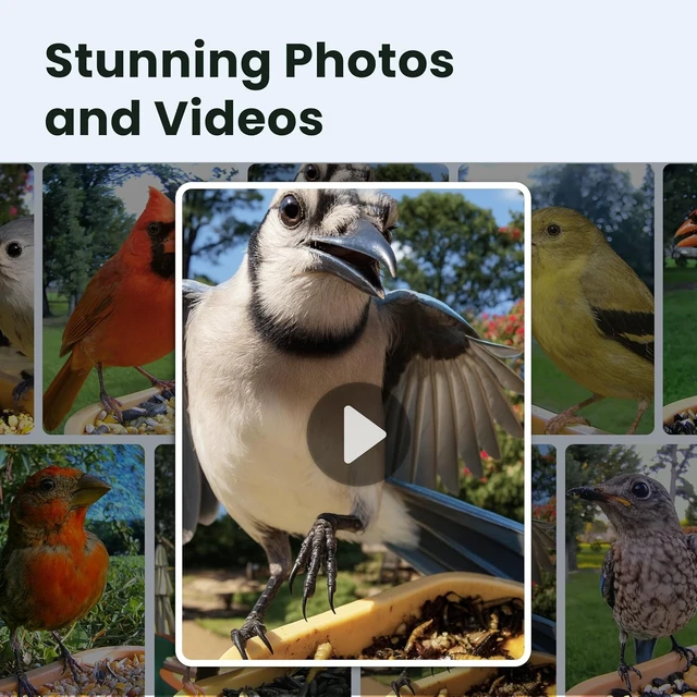 Alt view image 4 of 7 - Smart Bird Feeder Camera with Lifetime AI Beginner-Friendly Rookie Design
