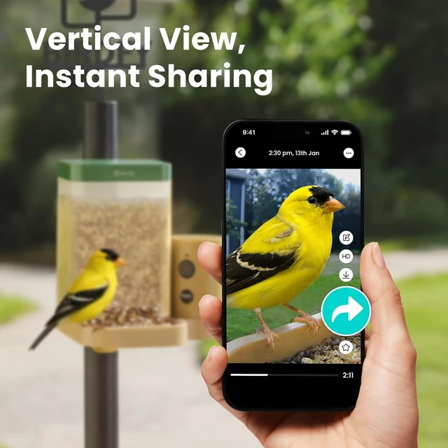 Alt view image 5 of 7 - Smart Bird Feeder Camera with Lifetime AI Beginner-Friendly Rookie Design