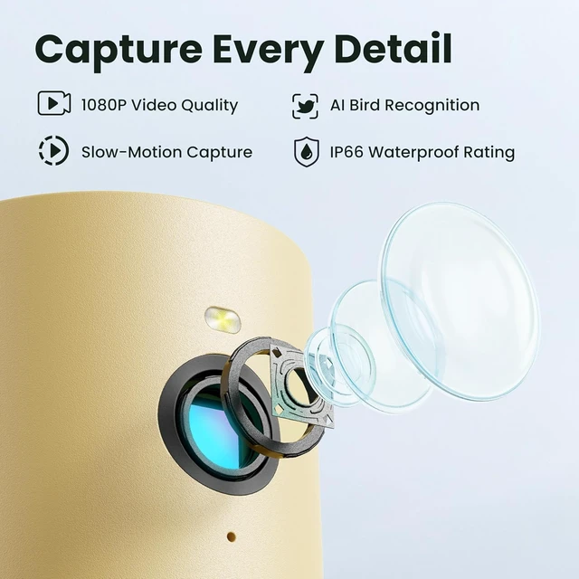 Alt view image 7 of 7 - Smart Bird Feeder Camera with Lifetime AI Beginner-Friendly Rookie Design