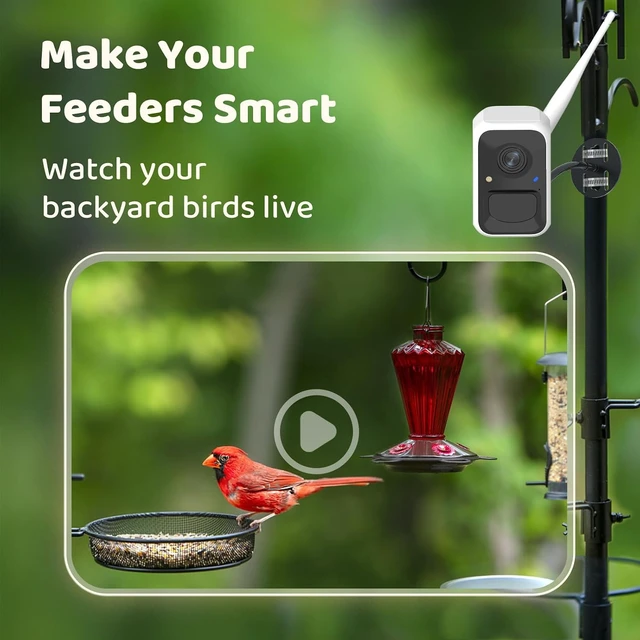 Alt view image 2 of 7 - Birdfy Smart Bird Camera with Adjustable Brackets Ideal for Beginners