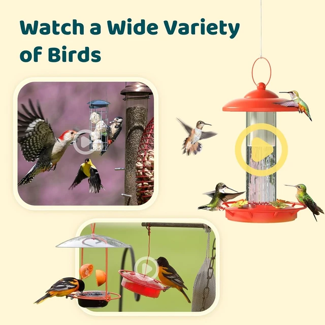 Alt view image 6 of 7 - Birdfy Smart Bird Camera with Adjustable Brackets Ideal for Beginners