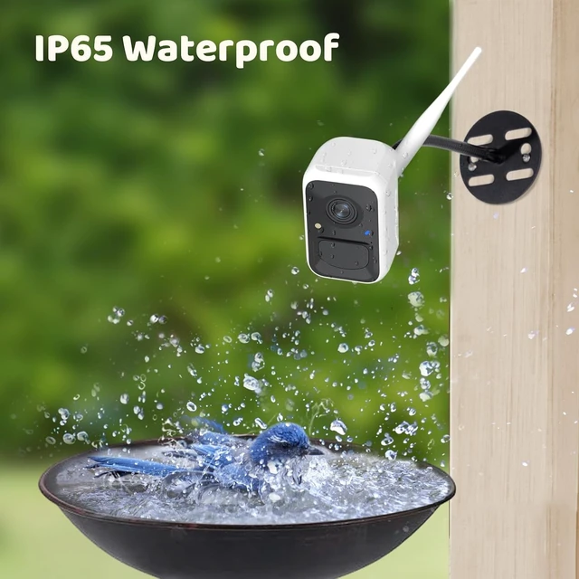 Alt view image 7 of 7 - Birdfy Smart Bird Camera with Adjustable Brackets Ideal for Beginners