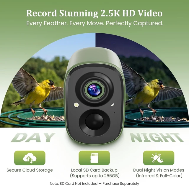 Alt view image 4 of 7 - 2.4G Smart Bird Camera Only Live Bird Watching for Feeder, Bath & House