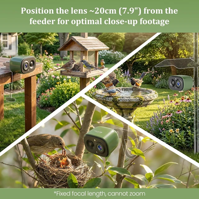 Alt view image 5 of 7 - 2.4G Smart Bird Camera Only Live Bird Watching for Feeder, Bath & House