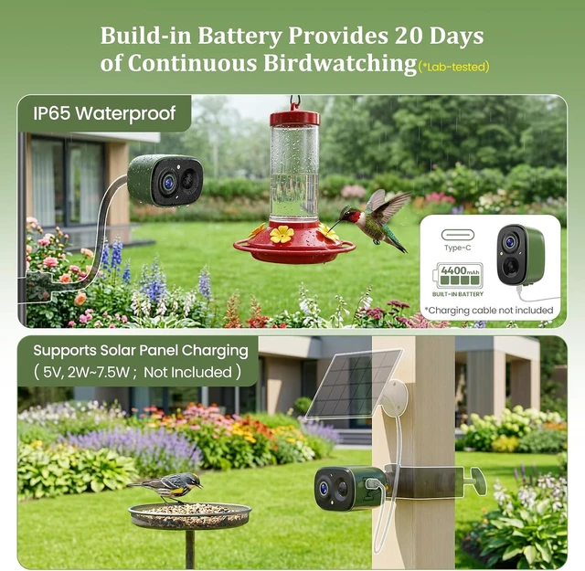 Alt view image 7 of 7 - 2.4G Smart Bird Camera Only Live Bird Watching for Feeder, Bath & House