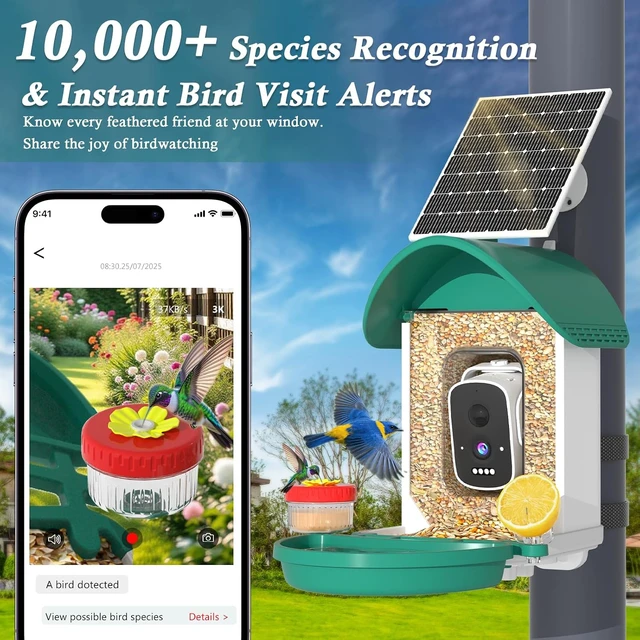 Alt view image 3 of 7 - 3K Smart Bird Feeder Camera with AI Bird Recognition & Instant Alerts