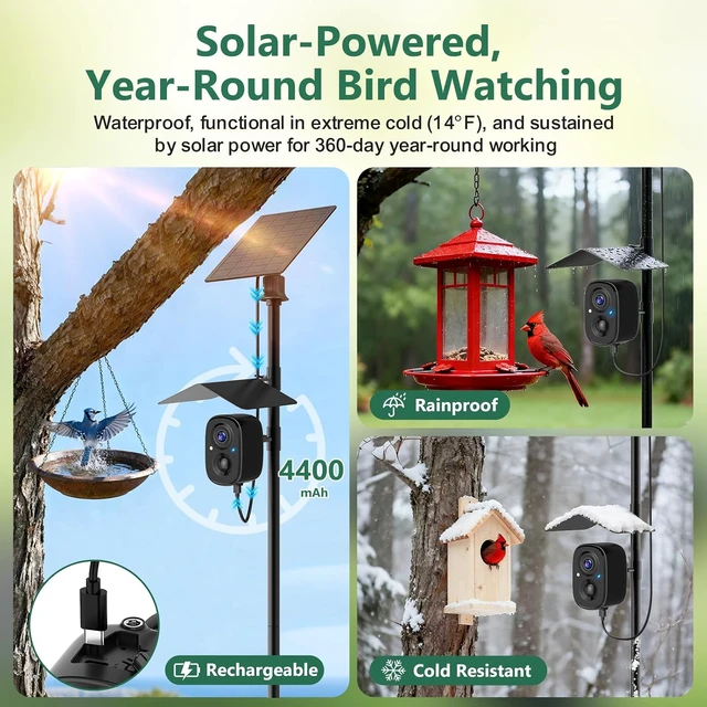 Alt view image 6 of 7 - Solar-Powered Smart Bird Camera with Pole for Feeder & Bath Birdwatching