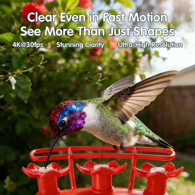 Alt view image 2 of 7 - 4K Solar-Powered Hummingbird Feeder Camera, No Subscription