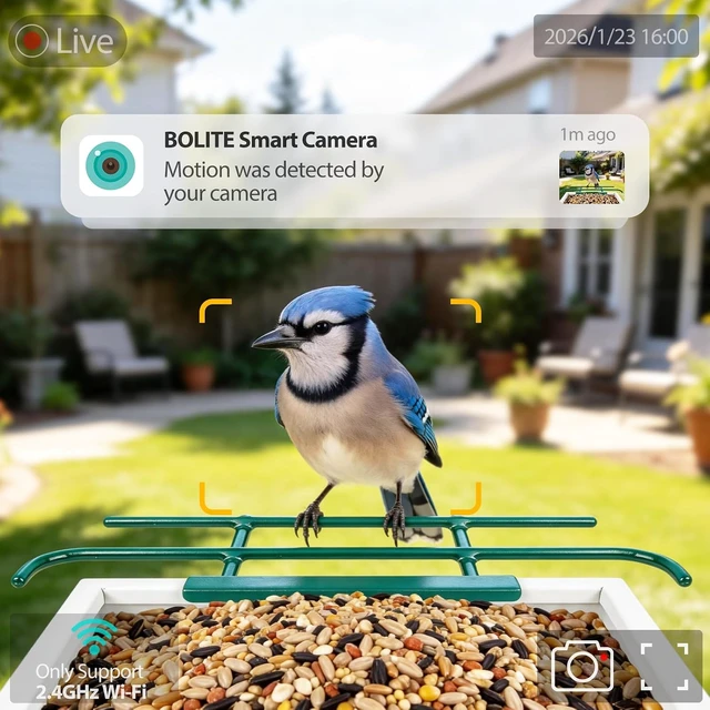 Alt view image 5 of 7 - 2.5K HD Smart Bird Feeder Camera & Outdoor Birdhouse, Green