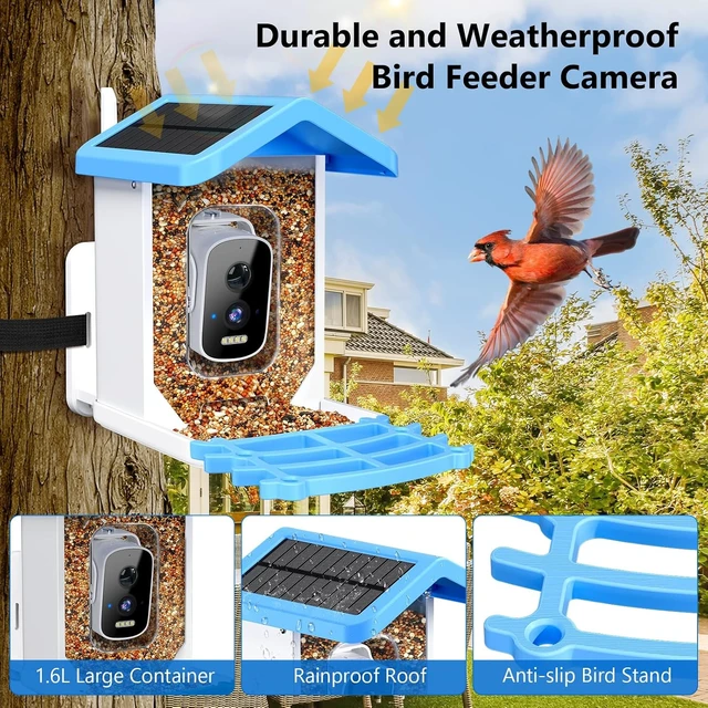 Alt view image 3 of 7 - 2.5K HD Smart Solar Bird Feeder Camera with AI Bird Species ID Bird House with Camera for Garden, Ideal Gift for Bird Lovers, Blue