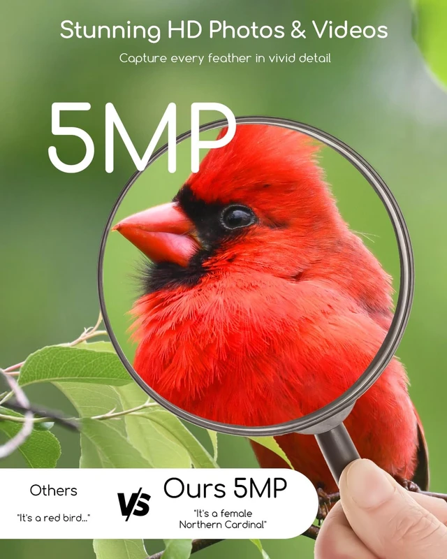 Alt view image 2 of 7 - 5MP Smart Bird Feeder Camera with 30% Faster Solar Charging