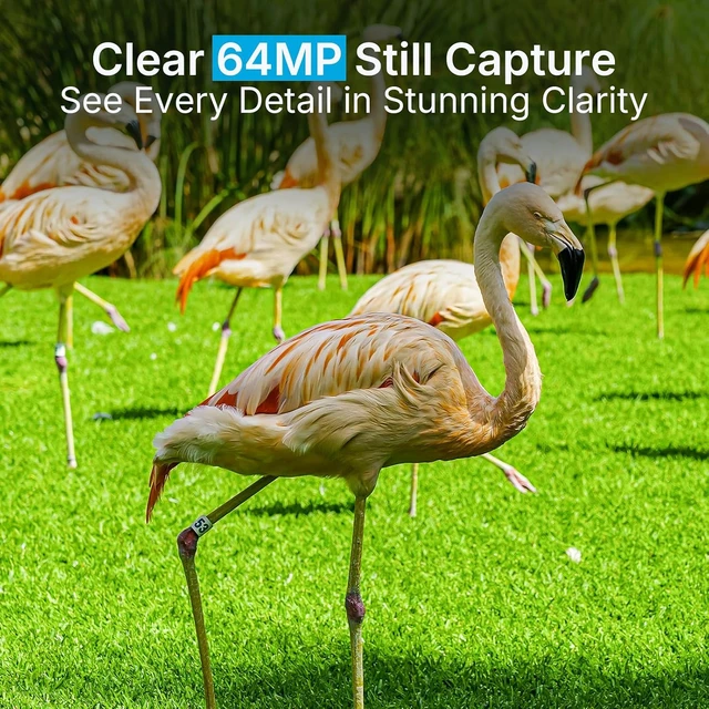 Alt view image 6 of 7 - P70 Non-Cellular, Non-WiFi 64MP 1296p Trail Camera with No-Glow IR Night Vision & Motion Activation Waterproof Game Cam for Wildlife, Deer & Hunting