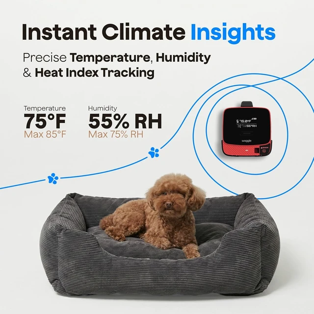 Alt view image 3 of 7 - 4G RV Pet Temperature Monitor with RVSentry Geofence Alerts & Real-Time App Monitoring No WiFi Needed, SMS & Email Power-Outage Alerts, Subscription Required