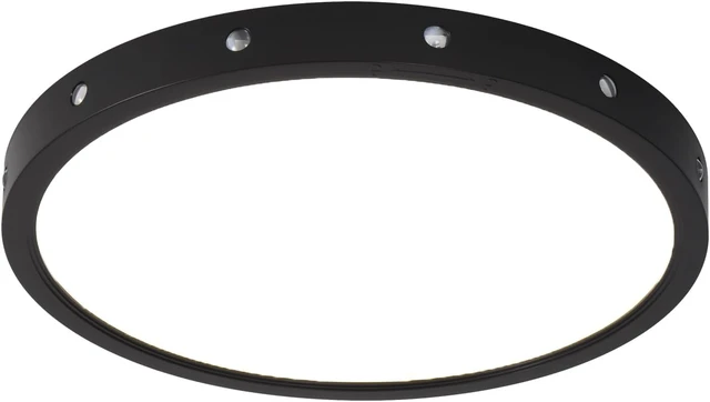 Alt view image 7 of 7 - 2500LM 12-Inch Smart Ceiling Light, 2700K-6500K, Black