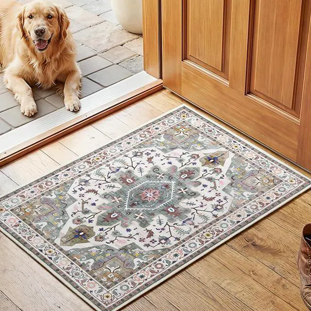 Main image of 2 x 3 Area Rugs Washable, Small Rugs for Entryway Kitchen Bathroom Mat Indoor Low Pile Soft Rug, Non-Slip Backing Stain Resistant Carpets, Pet Friendly Machine Washable, Vintage Green GN01AR01