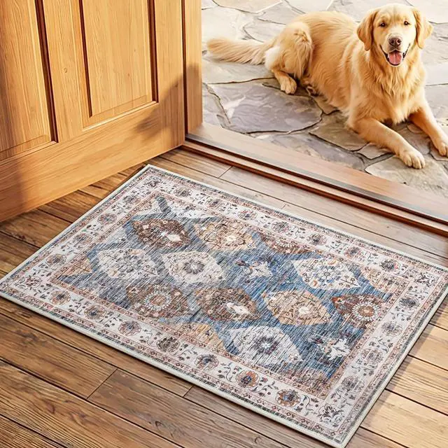 Main image of 2 x 3 Area Rugs Washable, Small Rugs for Entryway Kitchen Bathroom Mat Indoor Low Pile Soft Rug, Non-Slip Backing Stain Resistant Carpets, Pet Friendly Machine Washable, Light Blue BU01AR01