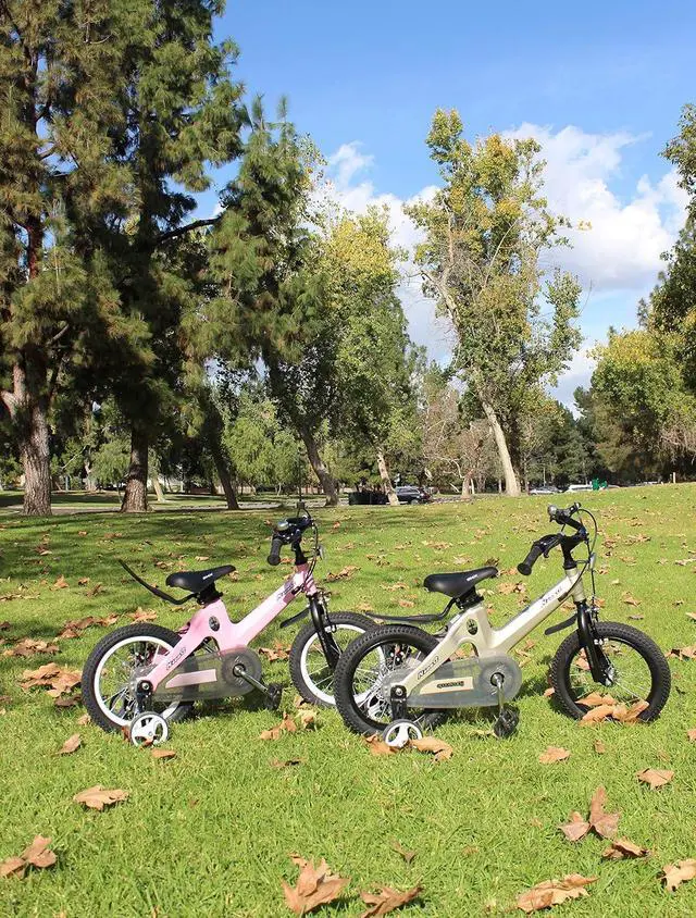 Alt view image 6 of 6 - Training Wheel Bike, Kids Bike Boys Girls, BMX Mountain with Dual Disc Brake 12-14-16-18 inch