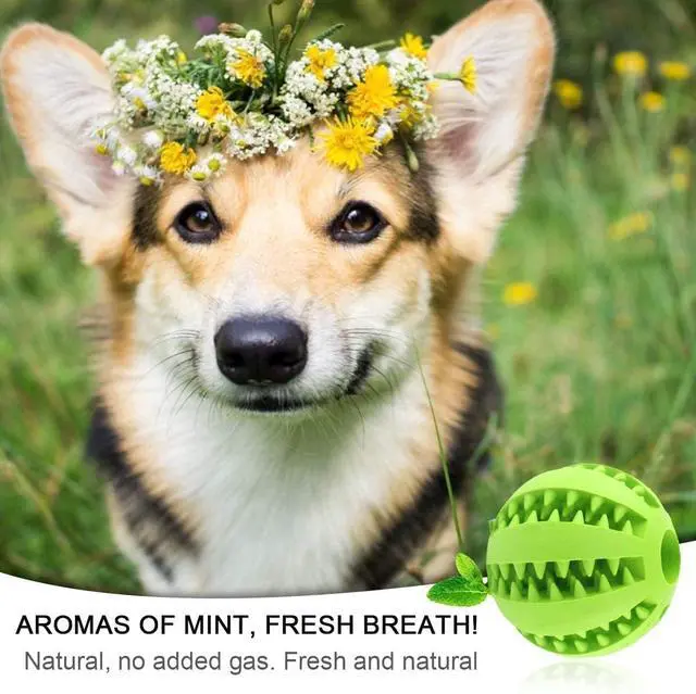 Alt view image 2 of 4 - Dog Toy Ball for Aggressive chewers, Nontoxic Durable Interactive Dog Treat Ball Toys for Dogs Breeds, Natural Clean Teeth Brush
