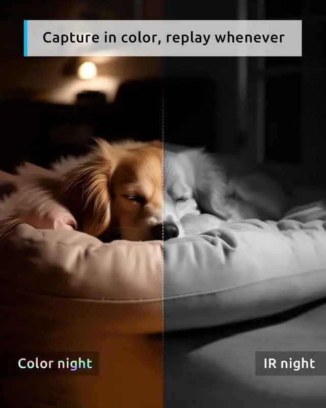 Alt view image 3 of 7 - 5G Pet Camera 2K, 360° PTZ Dog Camera with Phone App, Indoor Cameras for Home Security w/Dual-Band WiFi6, 2-Way Audio, Motion Tracking, Color/IR Night Vision, Siren, Cloud&SD
