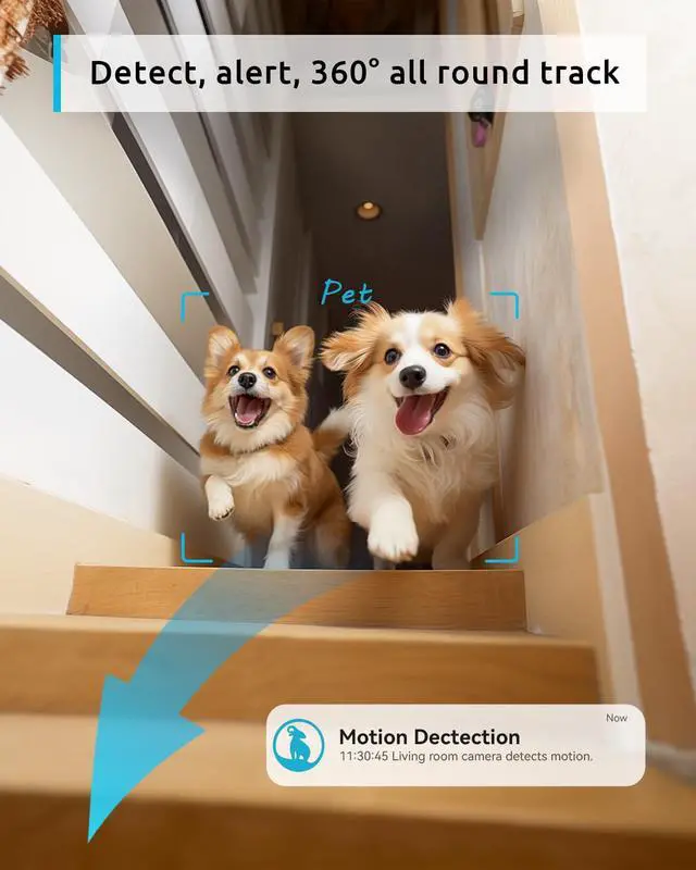 Alt view image 4 of 7 - 2K Security Camera Bundle 3-Pack, Indoor Camera and PTZ Pet Camera w/Motion Tracking, 2-Way Audio, IR Night Vision, Siren, Compatible with Alexa