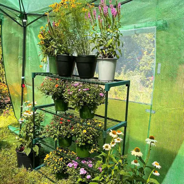 Alt view image 2 of 7 - Greenhouse Shelving Staging Double 4 Tier, Outdoor/Indoor Plant Shelves, 35"x12"x42", Green